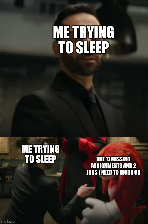 My life in a nutshell | ME TRYING TO SLEEP; ME TRYING TO SLEEP; THE 17 MISSING ASSIGNMENTS AND 2 JOBS I NEED TO WORK ON | image tagged in knuckles | made w/ Imgflip meme maker