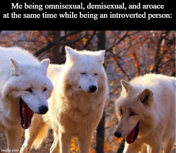 Laughing Wolfes | Me being omnisexual, demisexual, and aroace at the same time while being an introverted person: | image tagged in laughing wolfes | made w/ Imgflip meme maker