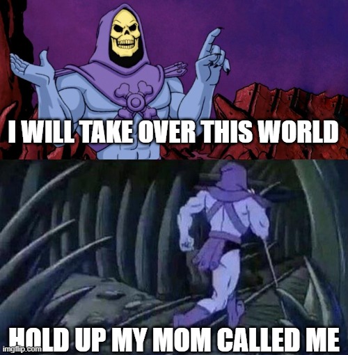 he man skeleton advices | I WILL TAKE OVER THIS WORLD; HOLD UP MY MOM CALLED ME | image tagged in he man skeleton advices | made w/ Imgflip meme maker