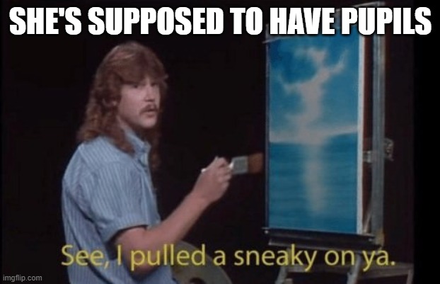 I pulled a sneaky | SHE'S SUPPOSED TO HAVE PUPILS | image tagged in i pulled a sneaky | made w/ Imgflip meme maker
