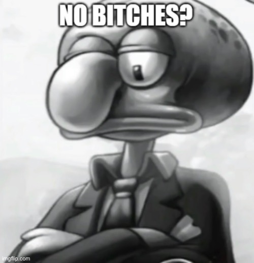 no bitches? | image tagged in no bitches,squidward | made w/ Imgflip meme maker