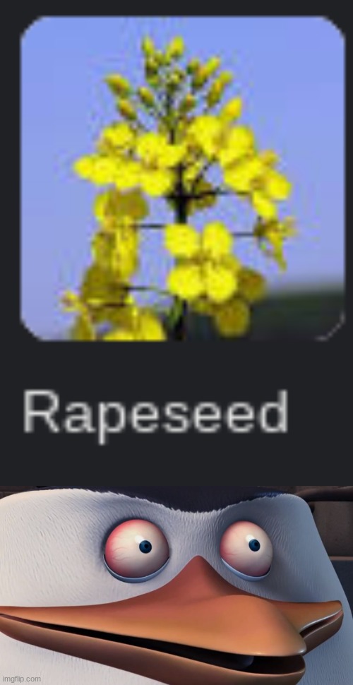 Kid named Seed: | made w/ Imgflip meme maker