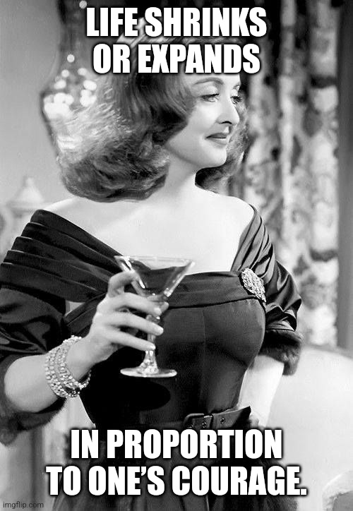Life worth living |  LIFE SHRINKS OR EXPANDS; IN PROPORTION TO ONE’S COURAGE. | image tagged in all about eve bette davis,life advice,life problems | made w/ Imgflip meme maker