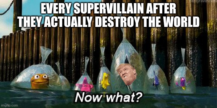 I see problemos. | EVERY SUPERVILLAIN AFTER THEY ACTUALLY DESTROY THE WORLD | image tagged in now what,funny,memes,villains | made w/ Imgflip meme maker