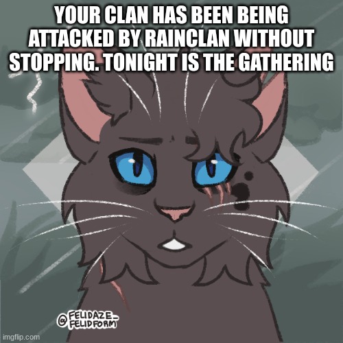 Leader OCs prefered. Cat OCs Only(Reposted because I deleted it) | YOUR CLAN HAS BEEN BEING ATTACKED BY RAINCLAN WITHOUT STOPPING. TONIGHT IS THE GATHERING | image tagged in warrior cats,roleplaying | made w/ Imgflip meme maker