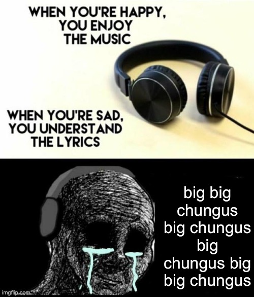 Big, Big, Chungus, Big Chungus, Big Chungus. | big big chungus big chungus big chungus big big chungus | image tagged in when your sad you understand the lyrics | made w/ Imgflip meme maker
