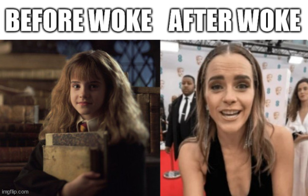 And you thought you won't go broke? | image tagged in emma watson,hermione granger,harry potter,woke,political correctness,jk rowling | made w/ Imgflip meme maker