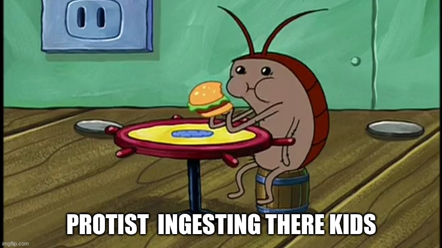 Spongebob Cockroach Eating | PROTIST  INGESTING THERE KIDS | image tagged in spongebob cockroach eating | made w/ Imgflip meme maker