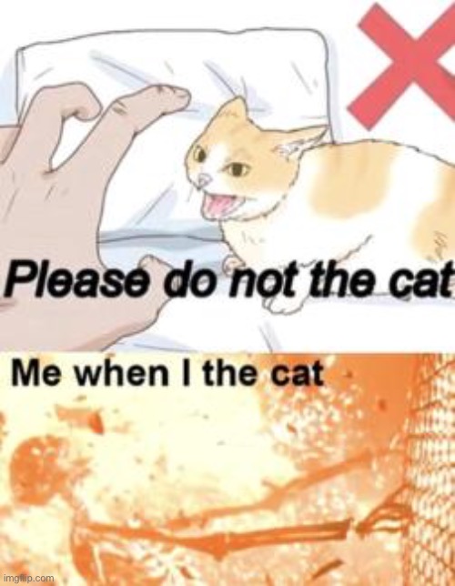 Couldn’t help but do the cat | made w/ Imgflip meme maker