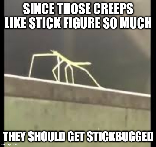 Stickbug | SINCE THOSE CREEPS LIKE STICK FIGURE SO MUCH THEY SHOULD GET STICKBUGGED | image tagged in stickbug | made w/ Imgflip meme maker