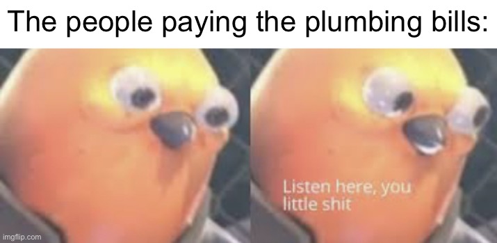 Listen here you little shit bird | The people paying the plumbing bills: | image tagged in listen here you little shit bird | made w/ Imgflip meme maker