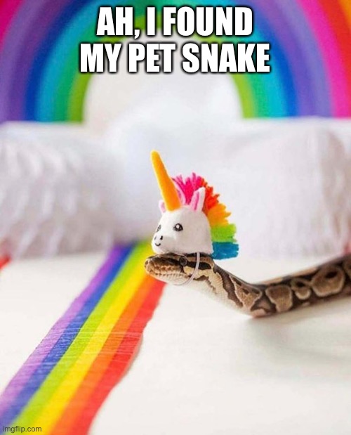 Unicorn snake | AH, I FOUND MY PET SNAKE | image tagged in unicorn snake | made w/ Imgflip meme maker