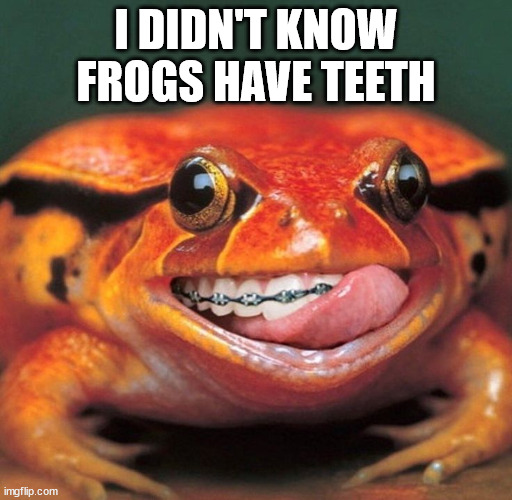 I DIDN'T KNOW FROGS HAVE TEETH | made w/ Imgflip meme maker