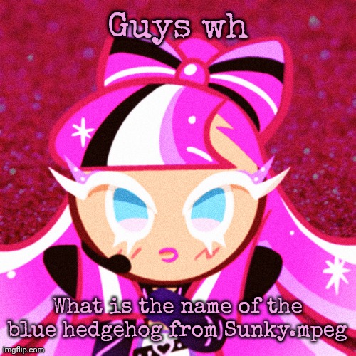 THE IDOL COOKIE | Guys wh; What is the name of the blue hedgehog from Sunky.mpeg | image tagged in the idol cookie | made w/ Imgflip meme maker