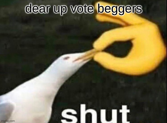SHUT | dear up vote beggers | image tagged in shut | made w/ Imgflip meme maker