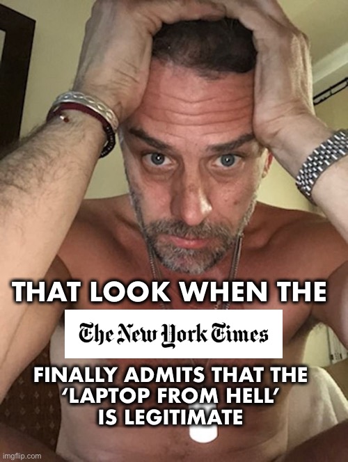 Daddy betrayed his country.  Now he’s President, in part, due to NYT willful cover-up of this story | THAT LOOK WHEN THE; FINALLY ADMITS THAT THE 
‘LAPTOP FROM HELL’ 
IS LEGITIMATE | image tagged in hunter biden | made w/ Imgflip meme maker