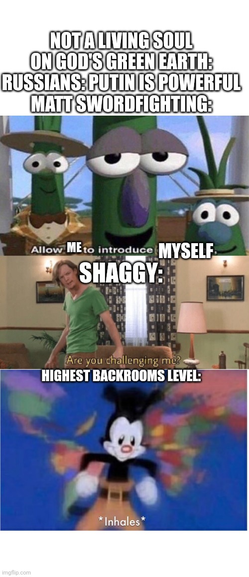 Ok | NOT A LIVING SOUL ON GOD'S GREEN EARTH:
RUSSIANS: PUTIN IS POWERFUL
MATT SWORDFIGHTING:; ME; MYSELF; SHAGGY:; HIGHEST BACKROOMS LEVEL: | image tagged in blank white template,veggietales 'allow us to introduce ourselfs',are you challenging me,world occupied | made w/ Imgflip meme maker