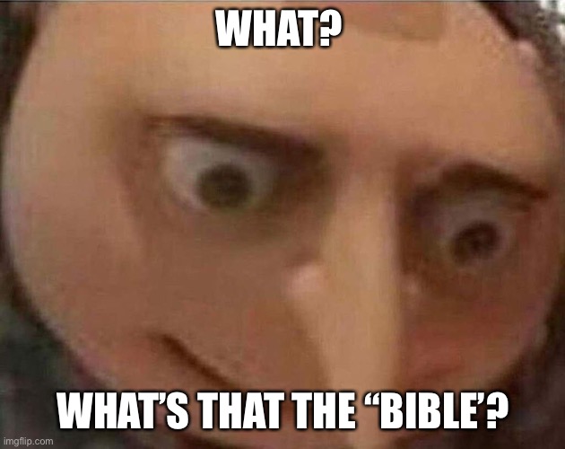 gru meme | WHAT? WHAT’S THAT THE “BIBLE’? | image tagged in gru meme | made w/ Imgflip meme maker