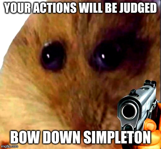 you shall be jmudjed | YOUR ACTIONS WILL BE JUDGED; BOW DOWN SIMPLETON | image tagged in your actions will be judged | made w/ Imgflip meme maker