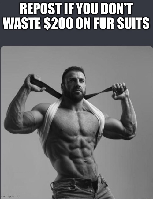 Yes | REPOST IF YOU DON’T WASTE $200 ON FUR SUITS | image tagged in refuses to elaborate any further | made w/ Imgflip meme maker