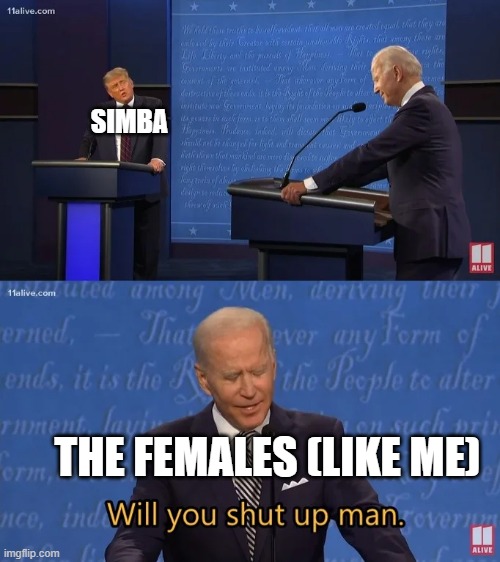 Biden - Will you shut up man | SIMBA THE FEMALES (LIKE ME) | image tagged in biden - will you shut up man | made w/ Imgflip meme maker