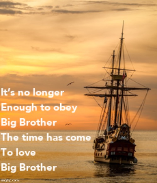 It’s no longer enough to obey Big Brother | image tagged in it s no longer enough to obey big brother | made w/ Imgflip meme maker