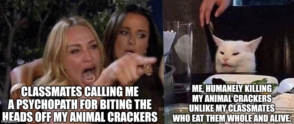 Animal crackers is a good movie | CLASSMATES CALLING ME A PSYCHOPATH FOR BITING THE HEADS OFF MY ANIMAL CRACKERS; ME, HUMANELY KILLING MY ANIMAL CRACKERS UNLIKE MY CLASSMATES WHO EAT THEM WHOLE AND ALIVE. | image tagged in woman yelling at cat | made w/ Imgflip meme maker