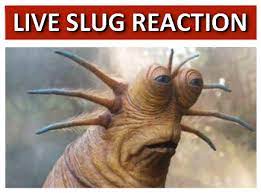 High Quality Live Slug Reaction Blank Meme Template