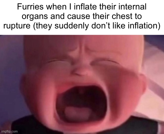 they suddenly don’t like inflation | Furries when I inflate their internal organs and cause their chest to rupture (they suddenly don’t like inflation) | image tagged in boss baby crying | made w/ Imgflip meme maker