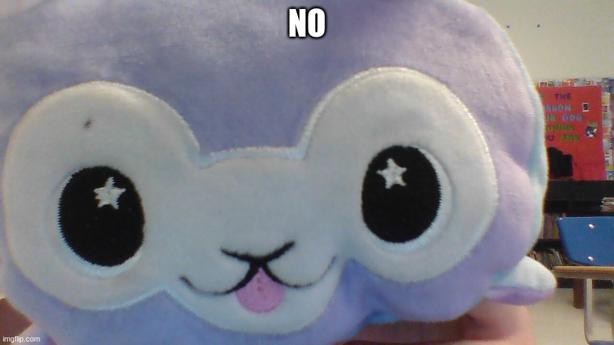 NO | made w/ Imgflip meme maker