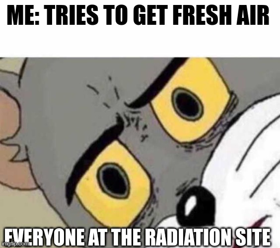 tom cat unsettled close up | ME: TRIES TO GET FRESH AIR; EVERYONE AT THE RADIATION SITE | image tagged in tom cat unsettled close up | made w/ Imgflip meme maker