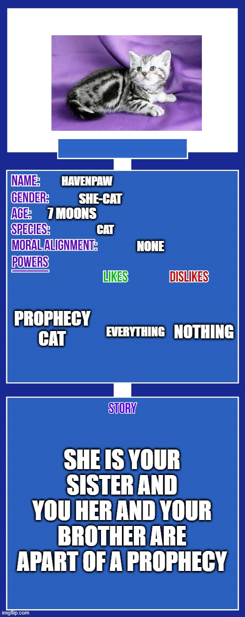 Petalpaw | HAVENPAW; SHE-CAT; 7 MOONS; CAT; NONE; PROPHECY CAT; NOTHING; EVERYTHING; SHE IS YOUR SISTER AND YOU HER AND YOUR BROTHER ARE APART OF A PROPHECY | image tagged in oc full showcase v2 | made w/ Imgflip meme maker