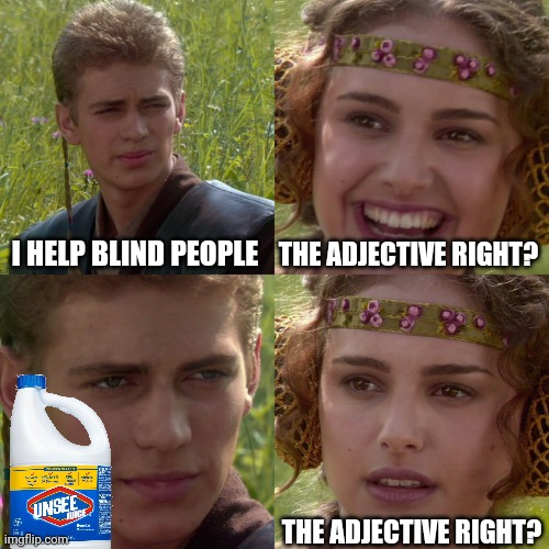Sus | I HELP BLIND PEOPLE; THE ADJECTIVE RIGHT? THE ADJECTIVE RIGHT? | image tagged in anakin padme 4 panel,blind,reeeeeeeeeeeeeeeeeeeeee,ea sports | made w/ Imgflip meme maker