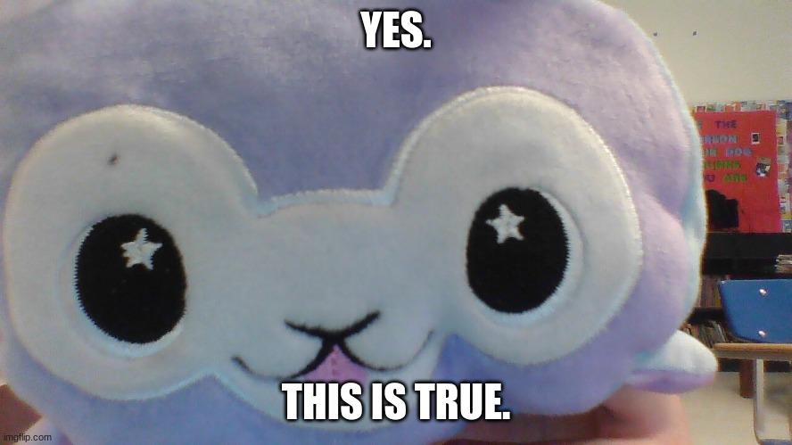 YES. THIS IS TRUE. | made w/ Imgflip meme maker