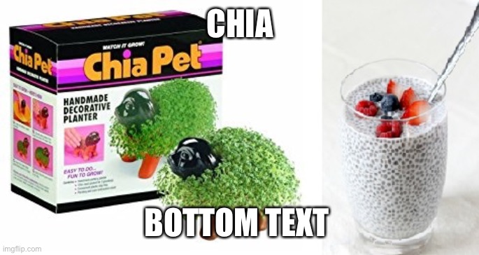 Chia | CHIA; BOTTOM TEXT | image tagged in chia pet to chia seed | made w/ Imgflip meme maker