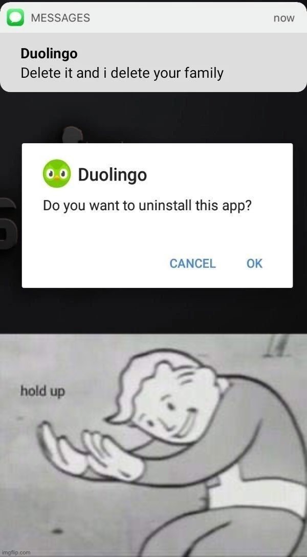 Plz no | image tagged in fallout hold up,memes,funny,duolingo,dead,family | made w/ Imgflip meme maker