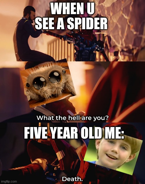 Absolute Dominion. | WHEN U SEE A SPIDER; FIVE YEAR OLD ME: | image tagged in what the hell are you death | made w/ Imgflip meme maker