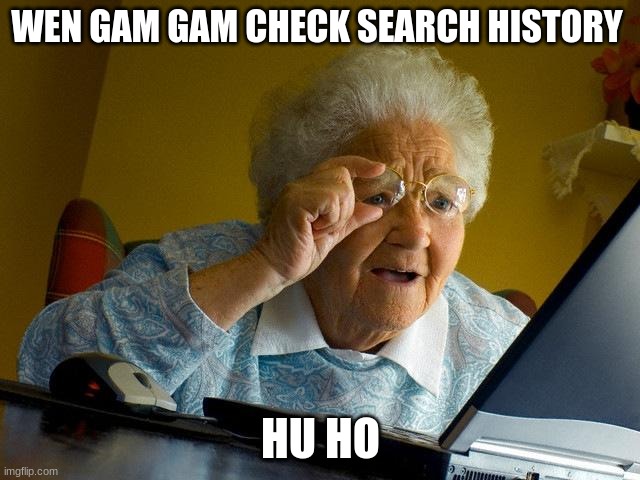 hu ho | WEN GAM GAM CHECK SEARCH HISTORY; HU HO | image tagged in memes,grandma finds the internet | made w/ Imgflip meme maker