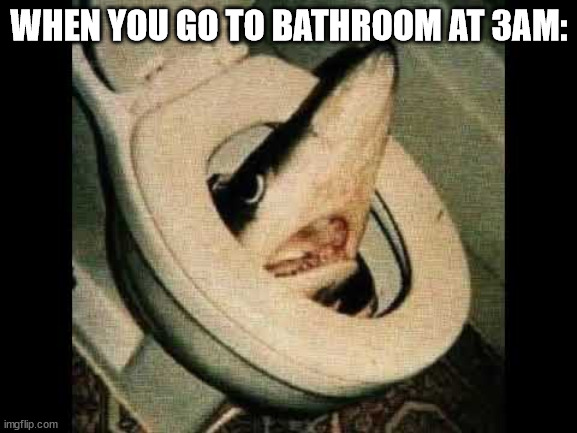 WHEN YOU GO TO BATHROOM AT 3AM: | made w/ Imgflip meme maker