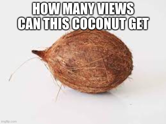 da coconut | HOW MANY VIEWS CAN THIS COCONUT GET | image tagged in meme,views,bruh | made w/ Imgflip meme maker