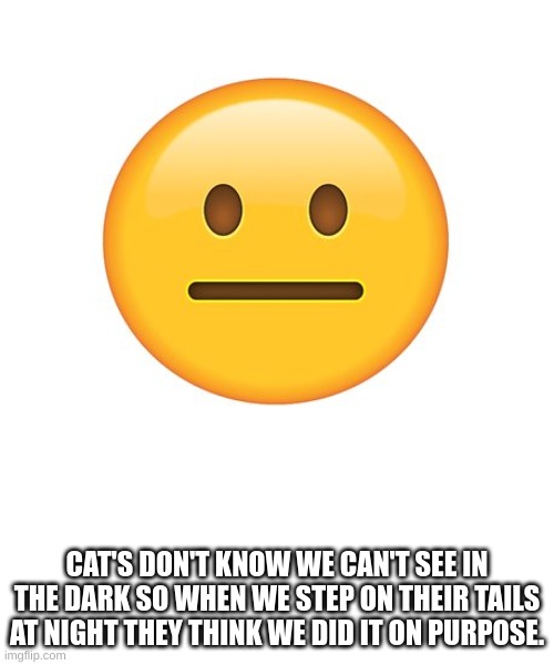 "Sadness noises' | CAT'S DON'T KNOW WE CAN'T SEE IN THE DARK SO WHEN WE STEP ON THEIR TAILS AT NIGHT THEY THINK WE DID IT ON PURPOSE. | image tagged in straight face | made w/ Imgflip meme maker