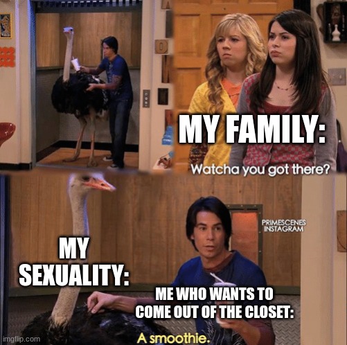 I'm scared too tell them | MY FAMILY:; MY SEXUALITY:; ME WHO WANTS TO COME OUT OF THE CLOSET: | image tagged in what you got there | made w/ Imgflip meme maker