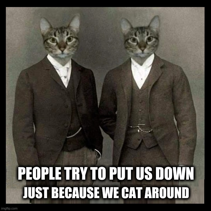 The Cat Generation |  PEOPLE TRY TO PUT US DOWN; JUST BECAUSE WE CAT AROUND | image tagged in cats,the who,haters gonna hate,generation,dank meme,grumpy cat | made w/ Imgflip meme maker