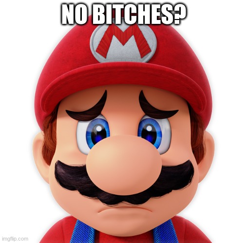 no bi*****? | NO BITCHES? | image tagged in super mario | made w/ Imgflip meme maker