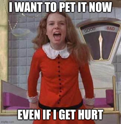 I WANT IT NOW | I WANT TO PET IT NOW EVEN IF I GET HURT | image tagged in i want it now | made w/ Imgflip meme maker