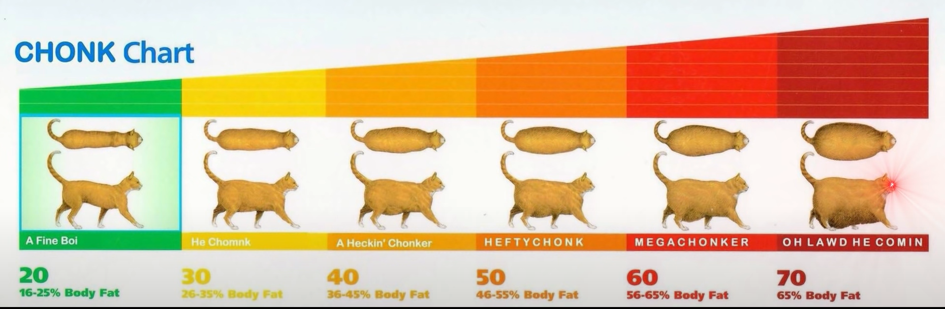 chonk-chart-blank-template-imgflip