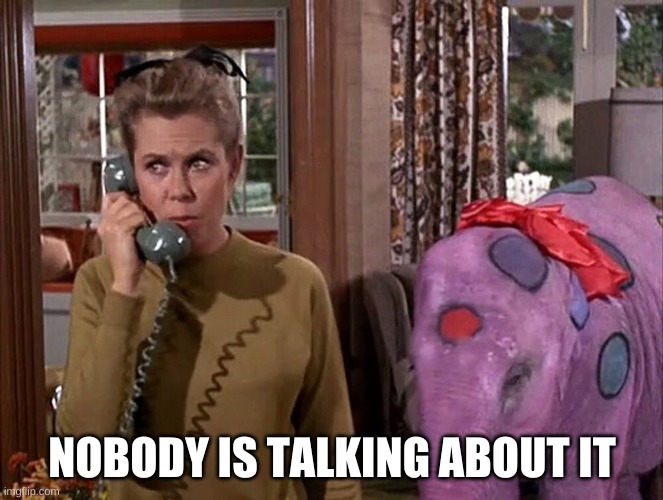  NOBODY IS TALKING ABOUT IT | image tagged in bewitched,elephant in the room,scumbag government,government corruption,corruption,too damn high | made w/ Imgflip meme maker