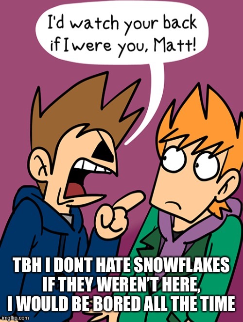 I’d watch your back if i were you, Matt | TBH I DONT HATE SNOWFLAKES
IF THEY WEREN’T HERE, I WOULD BE BORED ALL THE TIME | image tagged in i d watch my back if i were you matt | made w/ Imgflip meme maker