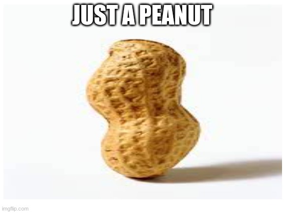 Something | JUST A PEANUT | image tagged in idk | made w/ Imgflip meme maker