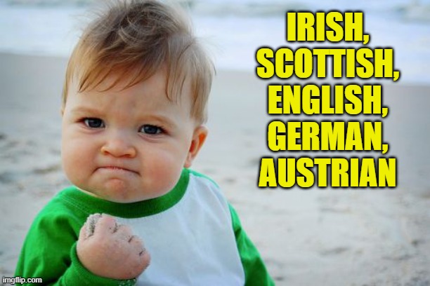 Success Kid Original Meme | IRISH, SCOTTISH, ENGLISH, GERMAN, AUSTRIAN | image tagged in memes,success kid original | made w/ Imgflip meme maker